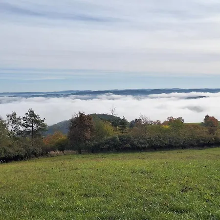 Pensjonat U Svarcu 3*