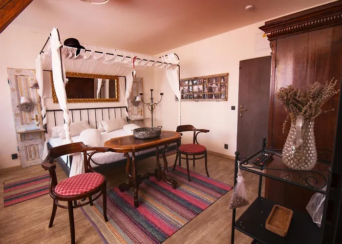 Gasthuis U Svarcu 3*