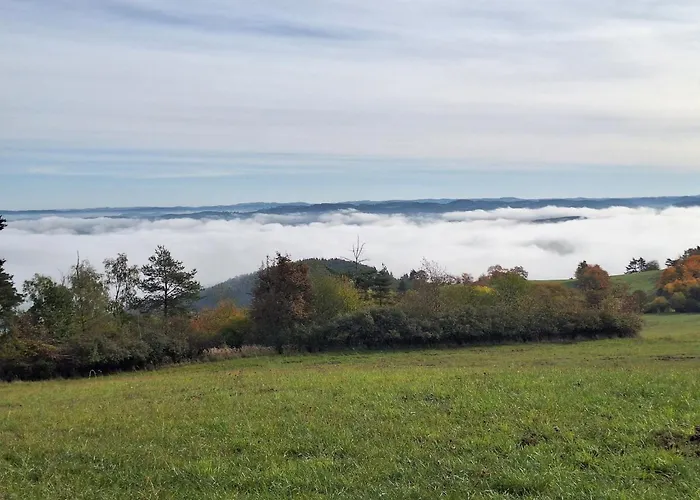 Gasthuis U Svarcu 3*