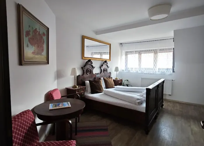 Gæstehus U Svarcu 3*