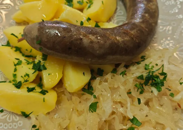 Gæstehus U Svarcu Zduchovice