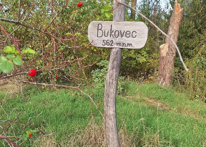 Gæstehus U Svarcu Zduchovice